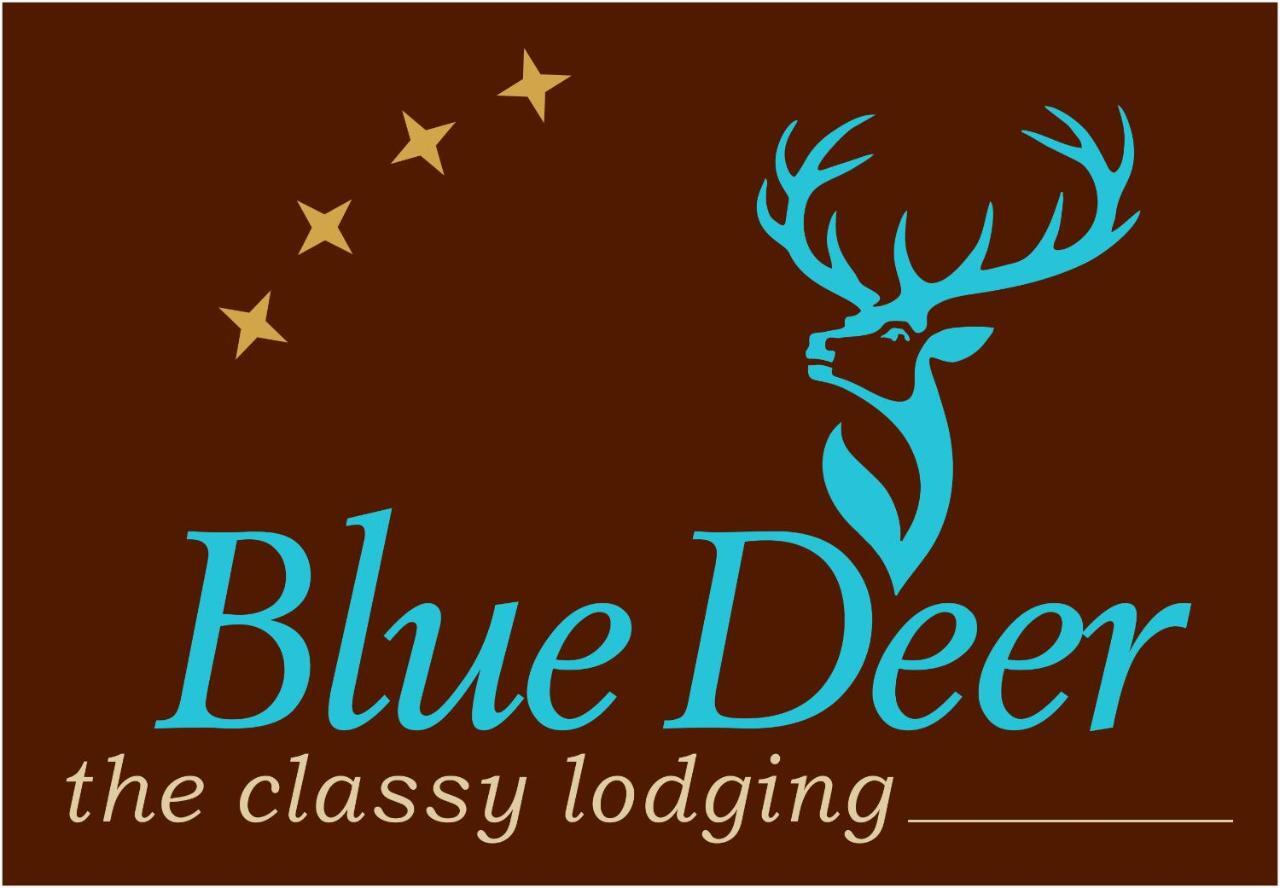 Blue Deer Apartment Umag Exterior photo